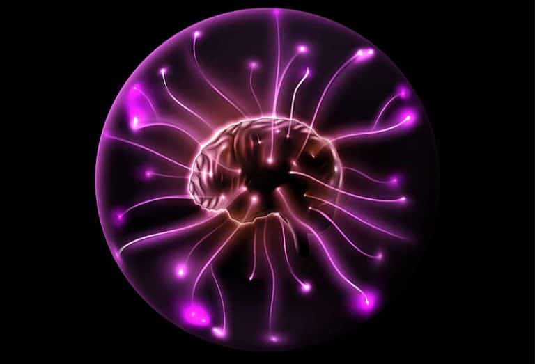 Purple Brain